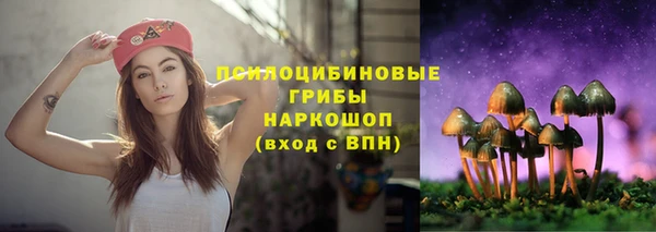 ПСИЛОЦИБИНОВЫЕ ГРИБЫ Каменногорск