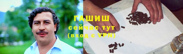скорость Каменка