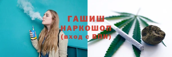 скорость Каменка