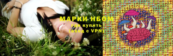 тгк Инта
