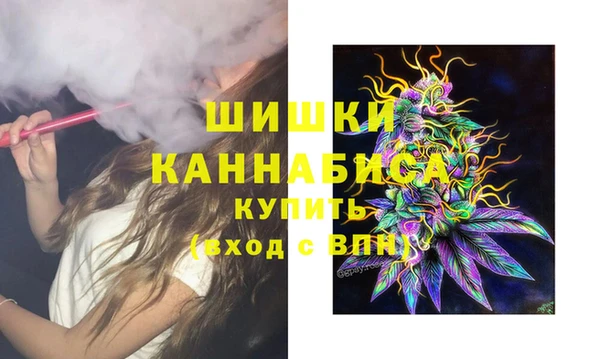 скорость Каменка