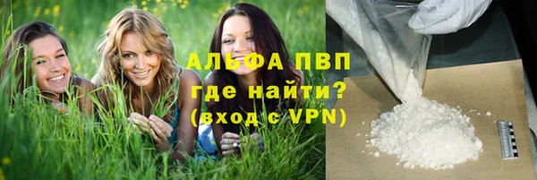 ПСИЛОЦИБИНОВЫЕ ГРИБЫ Каменногорск